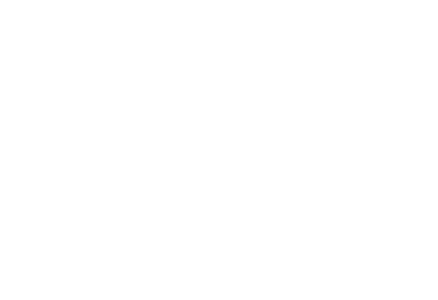 Fairy Flowers